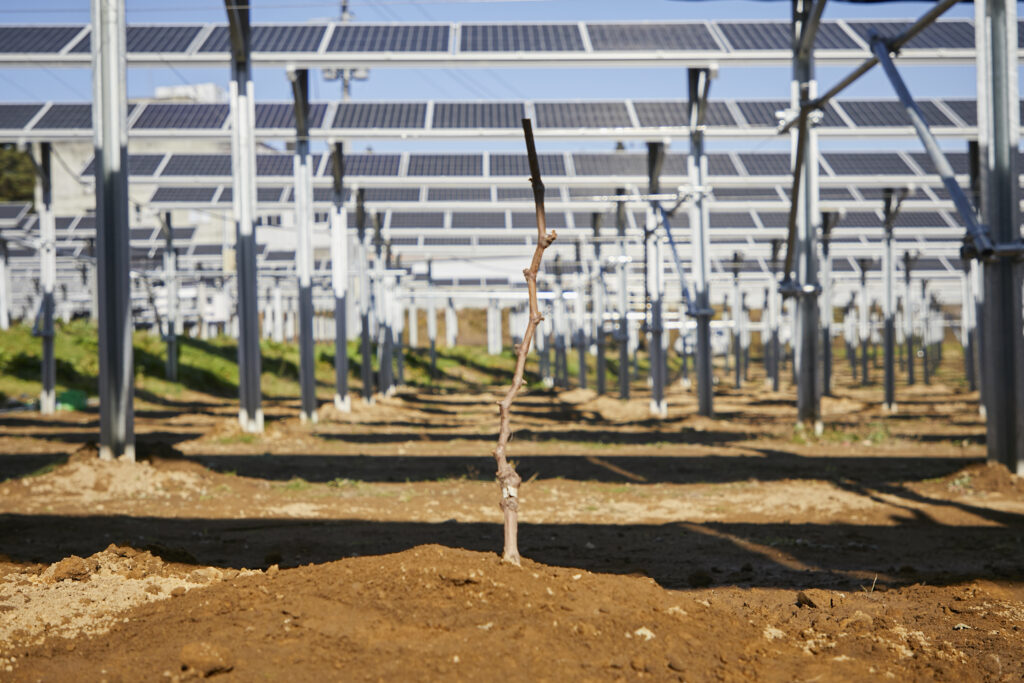 二本松営農ソーラー