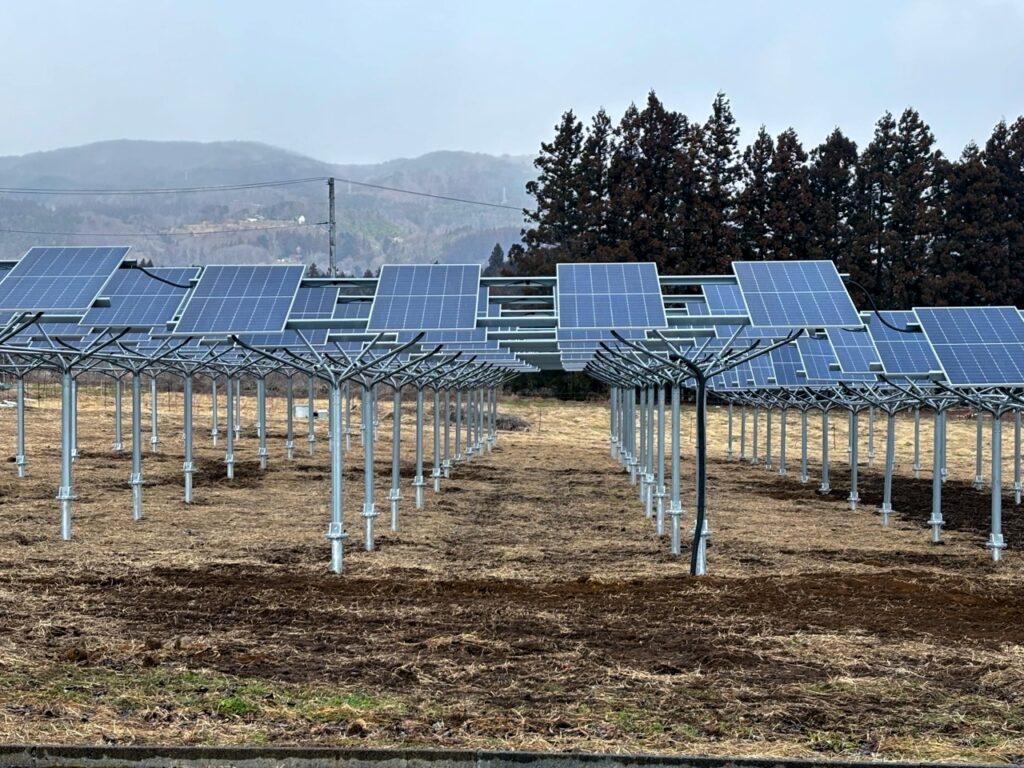回転直立式営農型太陽光発電
